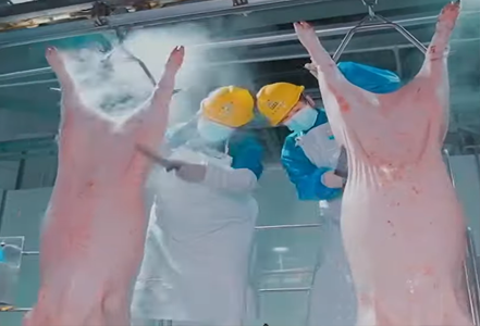 Pork suppliers